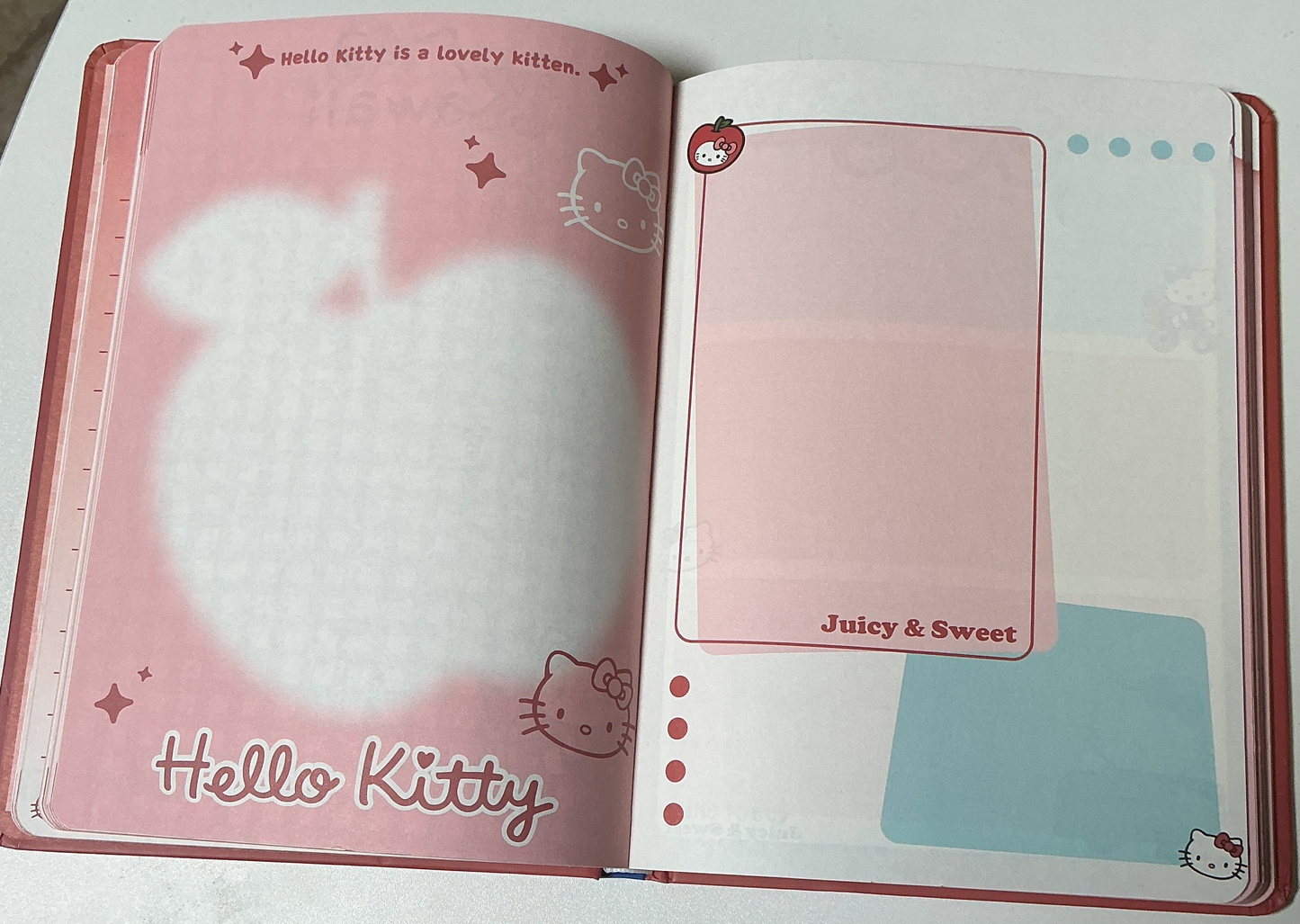 Hello Kitty Notebook