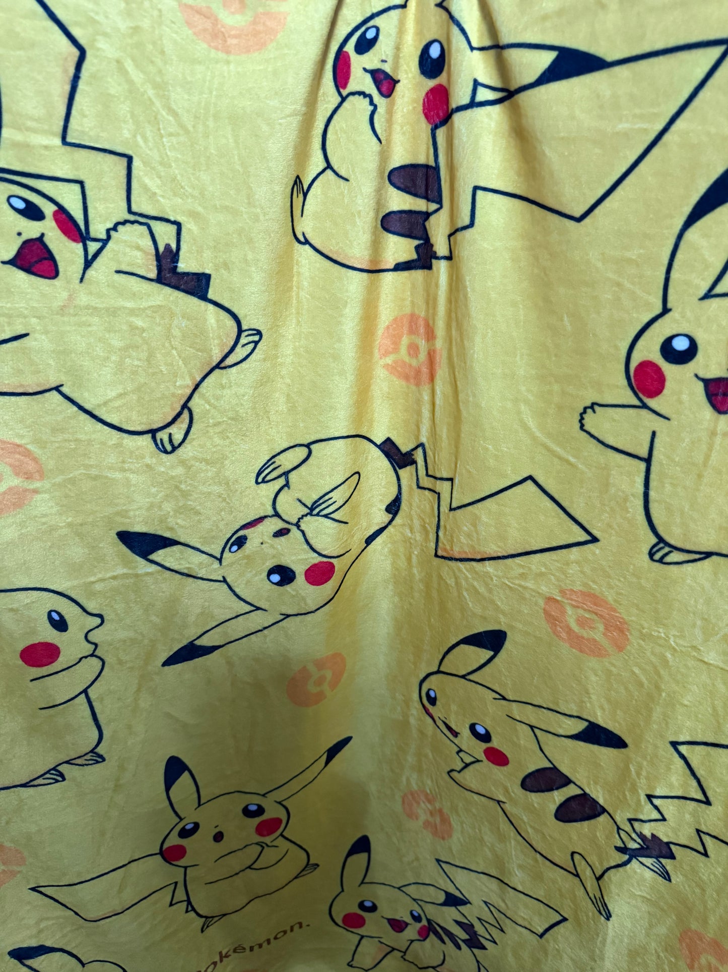 Pokémon Blanket About 5’ by 4’